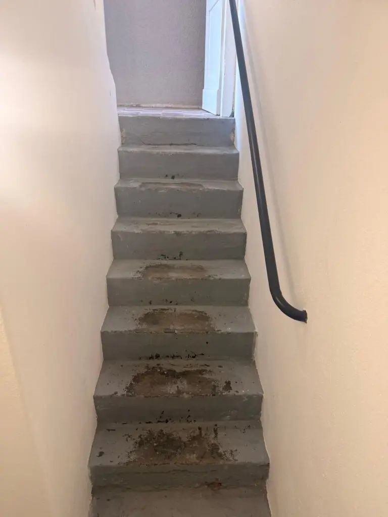 Kellertreppe aus Beton mit Handlauf vor der Sanierung