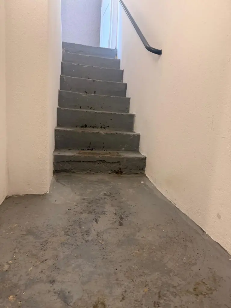 Abgenutzte Betontreppe im Keller vor der Beschichtung